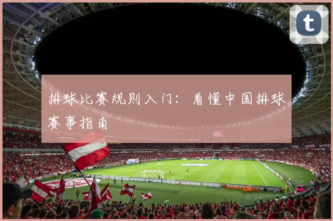 排球比赛规则入门：看懂中国排球赛事指南
